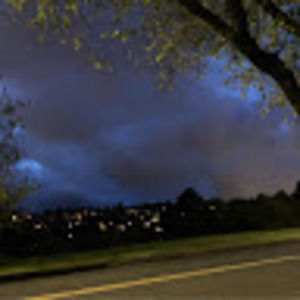 Meet your Posher, Leela